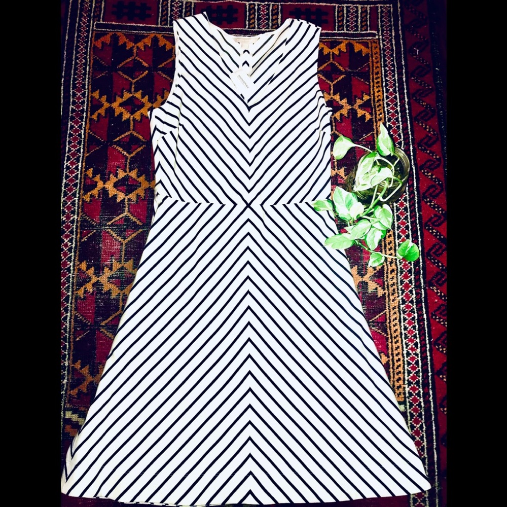 NWT Banana Republic A-line Dress